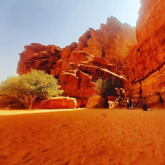 Saleem With Jeep Tour Apartment Wadi Rum Luaran gambar